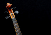 violin on a black background 