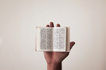 hold holding a pocket sized Bible 
