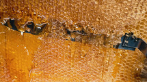 Apiarist unseal honeycomb frame with knife. Organic honey flows, tasty process. High quality photo