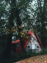 A small a-frame house surrounded by trees.