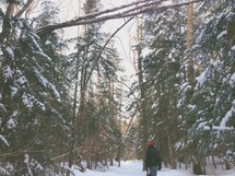 A man in a snow covered forest.