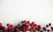 red berries on a white background 