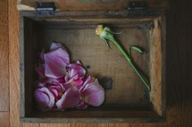 broken rose i na wooden box 