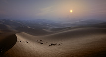 desert sands at sunset 
