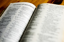 Open Bible in Song of Solomon