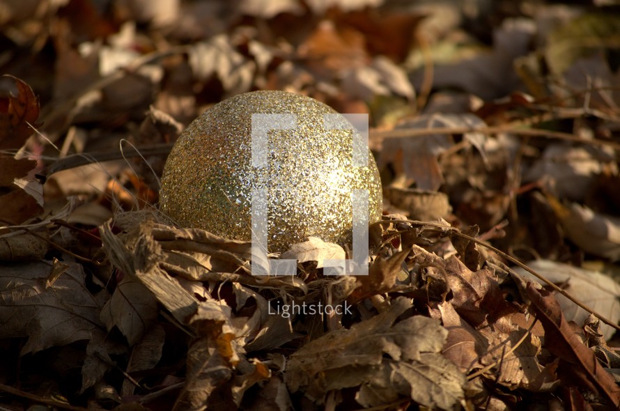 gold ornament in fall leaves