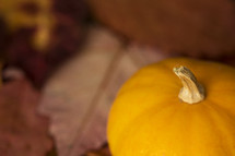 a pumpkin and fall leaves 