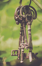 skeleton keys hanging on a branch 
