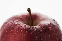 water droplets on a red apple.