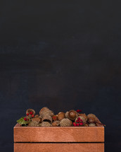acorns in a wood box 