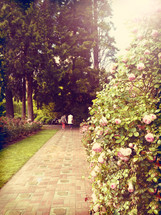 Couple strolling on a brick path in a rose garden.
