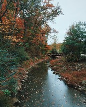 a stream in fall