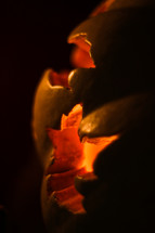 Candles shining through a carved pumpkin.