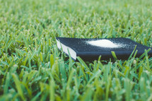 salt on a Bible in the grass 
