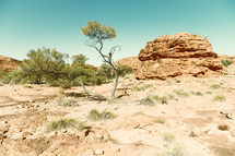 desert Outback 