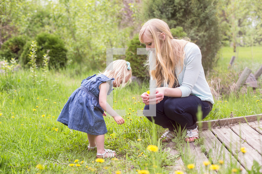 a little girl picking dandelions with mom 