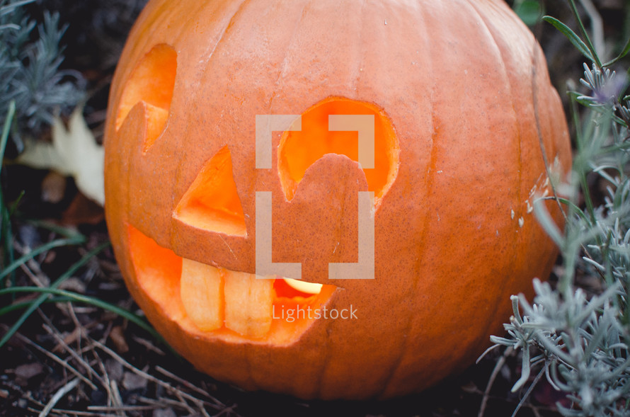 a carved pumpkin lantern