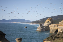 seagulls flying over a shore 