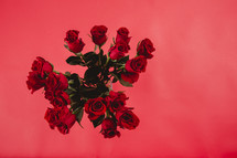 A bouquet of red roses on a red background.