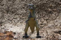 a ferocious t-rex toy outdoors
