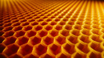 Extreme macro wax cells surface. Texture of honey comb. Organic beekeeping. Concept of apiculture, collective work. High quality