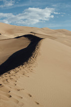 exploring sand dunes 