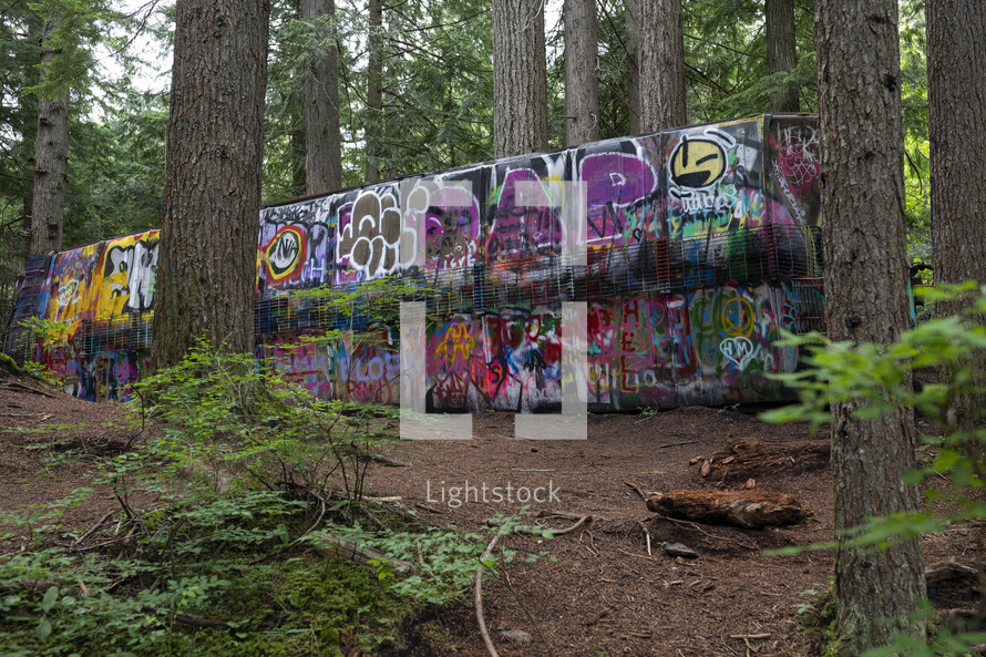 graffiti on an old train in a forest 