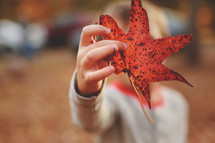a boy child holding a fall leaf 