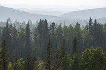 a horizon line of forest and mountains through smoky sky