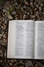 A Bible on gravel 