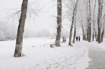a pair of joggers on a foggy, wintery path