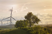windpower farm