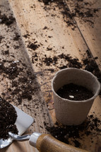 seed in a pot and potting soil 