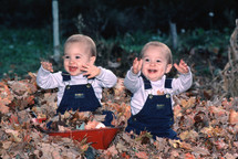 twin boys playing in fall leaves 