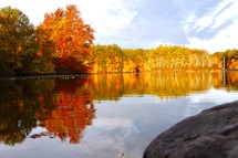 fall trees on a lake shore 