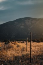 sunlight on a barbed wire fence 