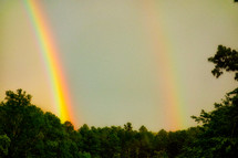 double rainbow over trees in a forest 