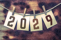 year 2029