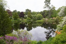 pond surrounded by flowers in Maine 
