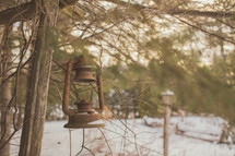 rusty lantern hanging in a tree 