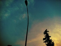 lamp post silhouette