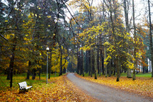 A curving autumn road in the park.