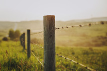 fence posts at sunset 