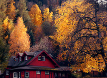 red cabin and fall trees in the mountains 