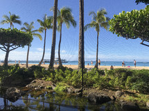 palm trees on a resort beach in Hawaii 