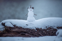 tiny snowman 