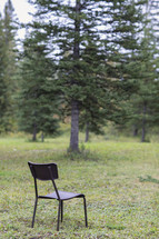 a chair in a forest 