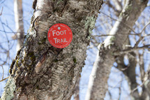 foot trail sign on a tree