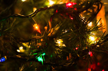 Colorful Christmas lights on a Christmas tree