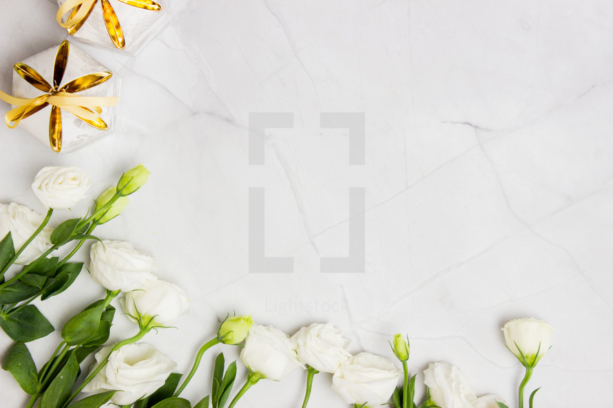 white roses on a white marble background 